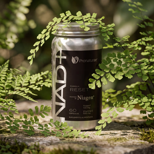 NAD+ Formula RESET entre helechos