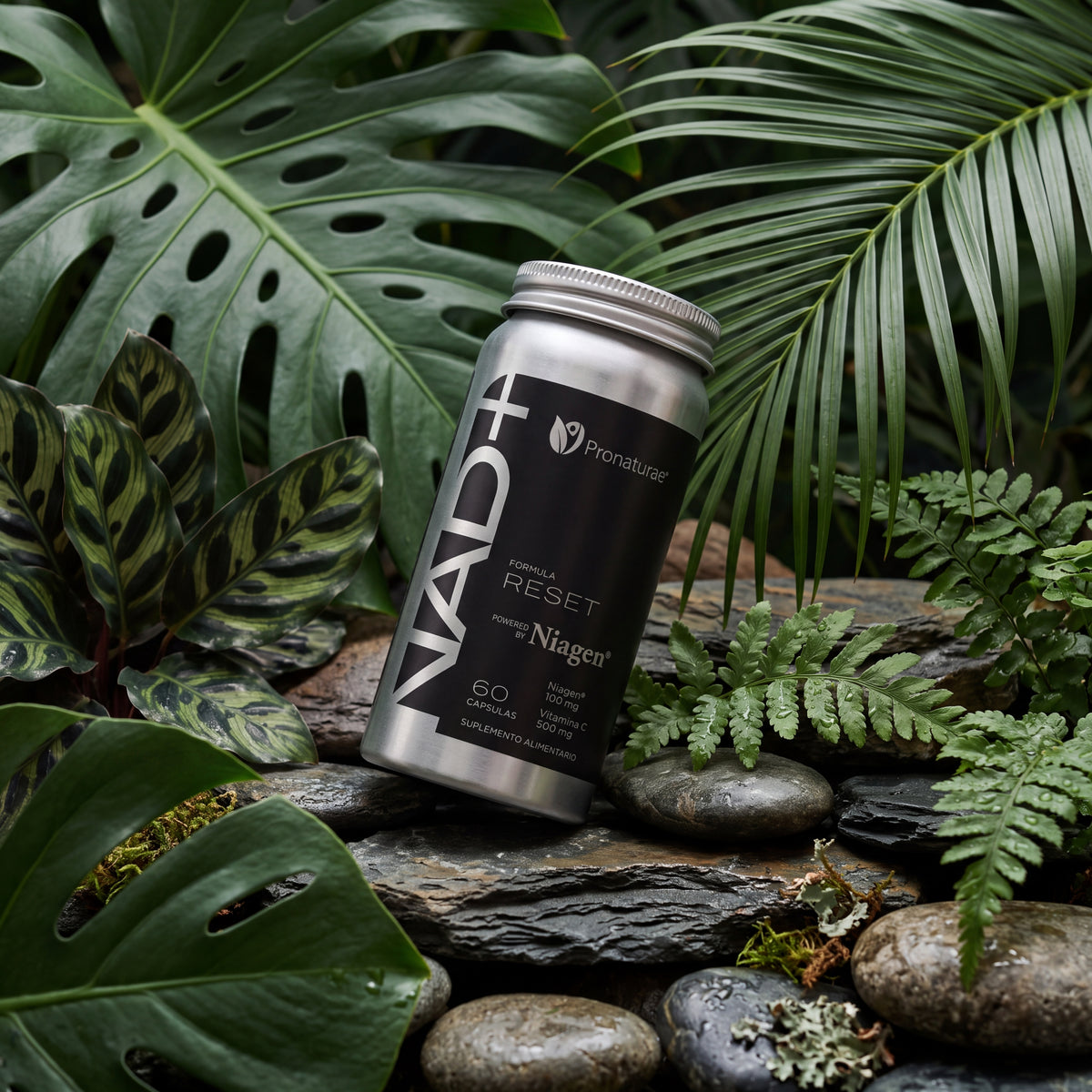 NAD+ Formula RESET entre hojas tropicales